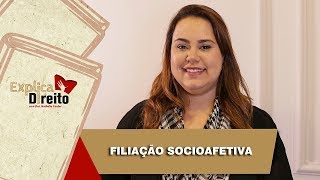 Explica Direito Filiação Socioafetiva  2019 [upl. by Icyak499]